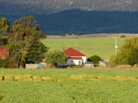 farmhouse and shedding at foot of mountain