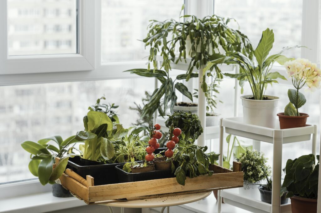 Indoor Gardening