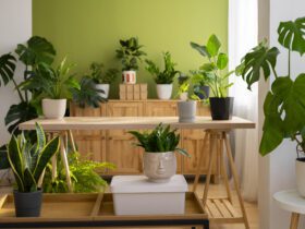 INDOOR GARDENING